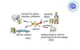 alcohol uses