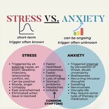 symptoms of stress and anxiety