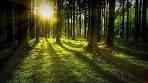 guided imagery meditation