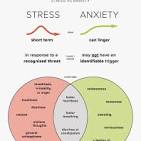 signs of stress and anxiety