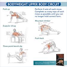 upper body strength workout