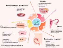 melatonin birth control