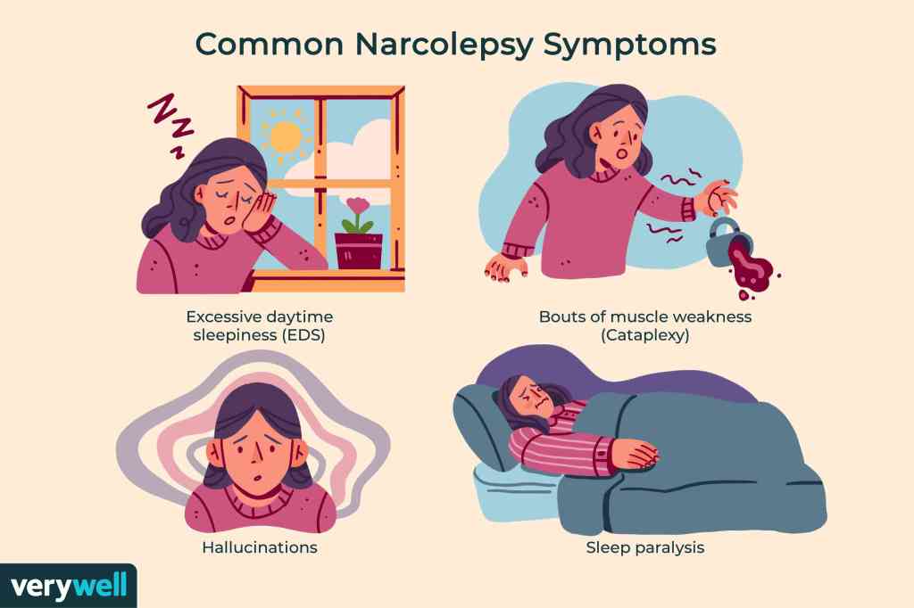narcolepsy and insomnia