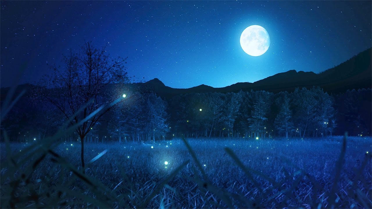 night meditation music